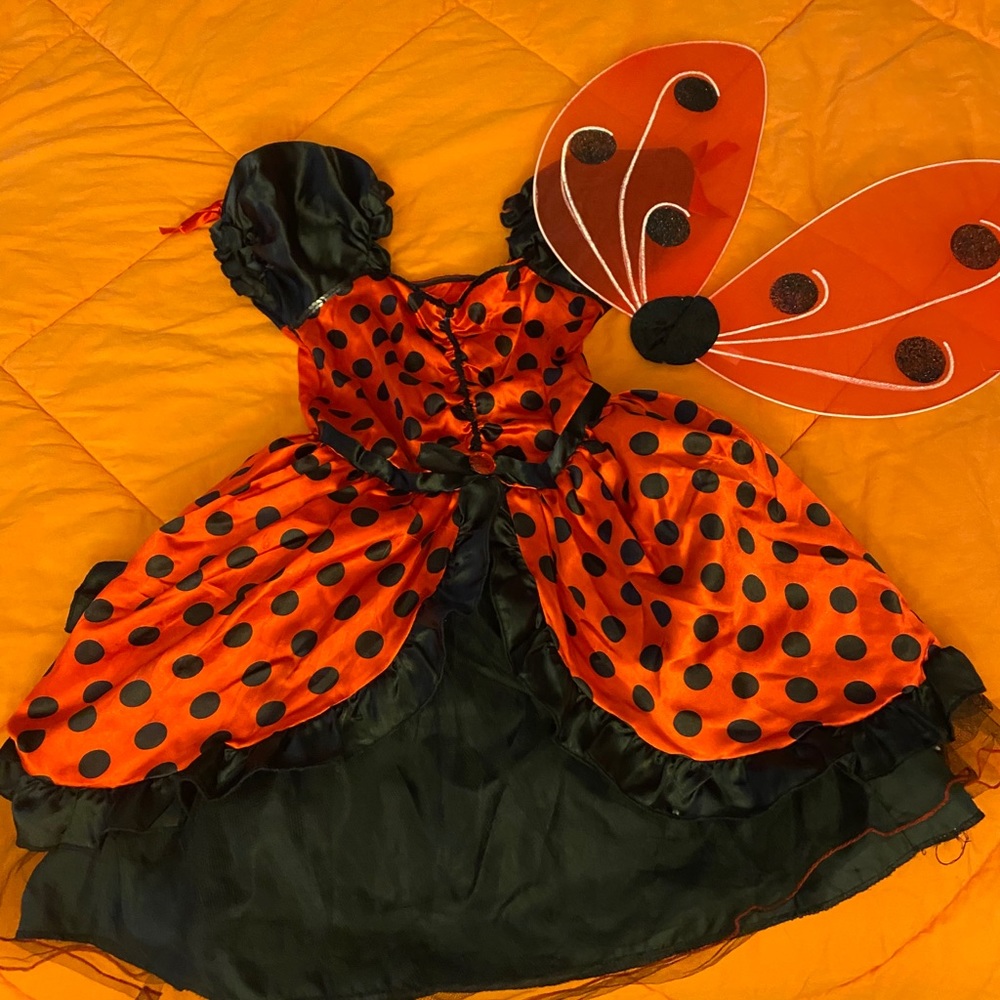 Ladybug costume